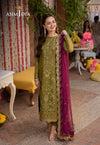 Dhanak3PC Embroidered With Chiffon Embroidered Dupatta-243