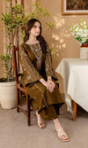Dhanak 2PC Embroidered-105
